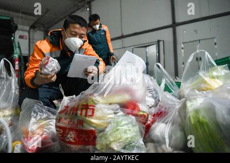 (200217) -- OURUMQI, 17 février 2020 (Xinhua) -- un collectionneur express d'une branche de China Post vérifie les légumes pour livraison dans un entrepôt à Ourumqi, dans le nord-ouest de la région autonome du Xinjiang Uygur, 16 février 2020. Depuis la nouvelle épidémie de coronavirus, la branche d'Urumqi du poste chinois a élargi sa portée de service. Plus de 80 voitures de livraison express et 340 collectionneurs express ont été déployés pour fournir aux résidents locaux des services de livraison pendant la lutte contre la nouvelle épidémie de coronavirus. (Xinhua/Ding Lei) Banque D'Images