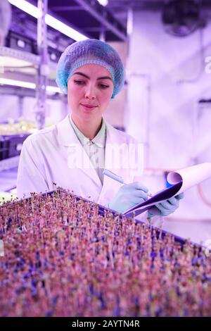 Portrait de la jeune travailleuse qui examine de nouvelles pousses sur plateau en serre de pépinière, espace de copie Banque D'Images