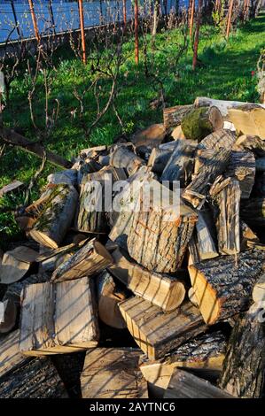 Une pile de bois de chauffage huilé dans une cour privée, une belle journée ensoleillée Banque D'Images