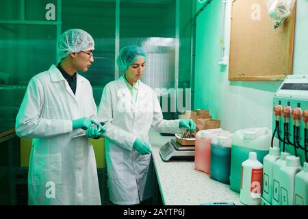 Portrait de deux travailleurs portant des vêtements de protection travaillant dans un laboratoire bio éclairé par la lumière verte, espace de copie Banque D'Images