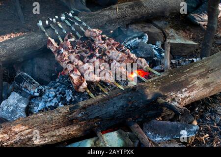 friture de viande frite au feu dans les bois Banque D'Images