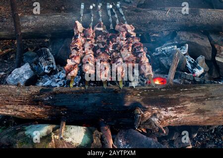 friture de viande frite au feu dans les bois Banque D'Images