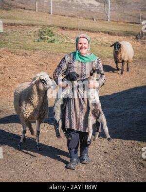 Krastava village, Rhodope montagnes / Bulgarie - Février 16 2020: Portrait de la vieille femme hug agneau dans la ferme. Banque D'Images