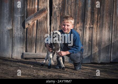 Krastava village, Rhodope montagnes / Bulgarie : Portrait de l'agneau de petit garçon dans la ferme. Banque D'Images