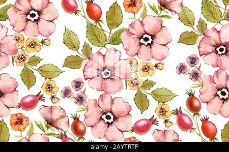 Motif fleuri aquarelle sans coutures. Fleurs de rose de shabby. Contexte de l'automne. Fruits roses de la hanche, briar, feuilles sur fond blanc. Peint à la main Banque D'Images