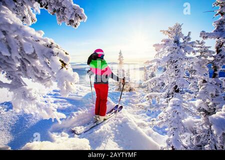 Skieur à pied le jour ensoleillé de l'hiver dans la forêt enneigée, belle nature. Concept de station de ski Banque D'Images