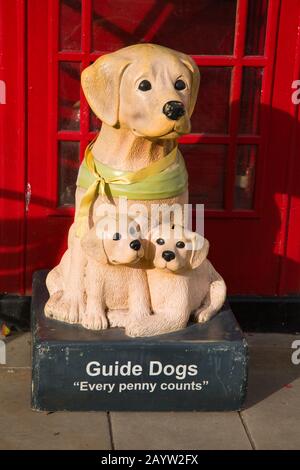 Une boîte de collection vintage Guide Dogs for the Blind d'un labrador et de ses deux chiots « Chaque penny compte » Banque D'Images