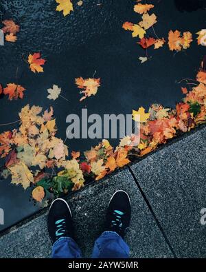 Crop shot de au-dessus de personne anonyme dans les baskets debout au-dessus de paddle avec des feuilles colorées. Banque D'Images