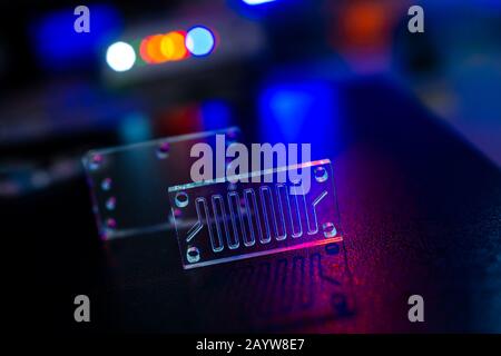 Dispositif microfluidique Instrument qui utilise des micro-quantités de fluide sur une puce de faire certaines analyses de laboratoire. Banque D'Images