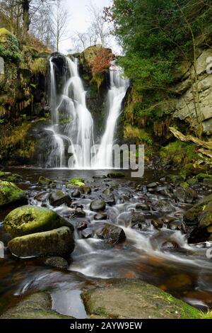 Chute d'eau de Possforth Gill dans une campagne idyllique et paisible (eau qui coule au-dessus de la falaise rocheuse dans l'étang) - Bolton Abbey, Yorkshire Dales, Angleterre, Royaume-Uni Banque D'Images