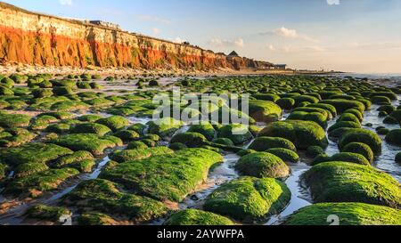 hunstanton coast norfolk county cliff strata géologie de la plage est anglia angleterre royaume-uni gb Banque D'Images