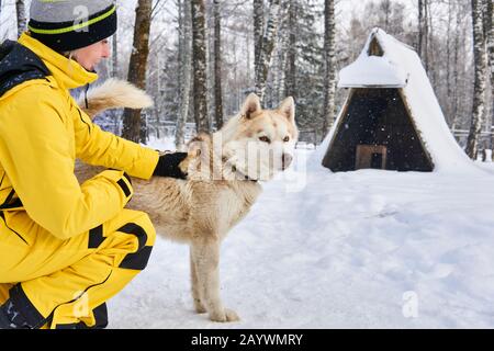 la jeune femme communique avec un chien husky dans la forêt hivernale Banque D'Images