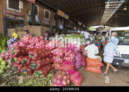 Dambulla, Sri Lanka: 18/03/2019: À l'intérieur du plus grand marché de la vente de fruits et légumes au Sri Lanka. Banque D'Images