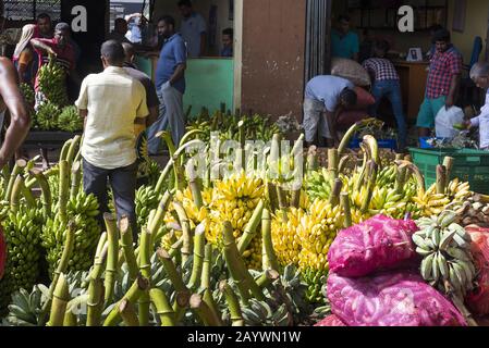 Dambulla, Sri Lanka: 18/03/2019: À l'intérieur du plus grand marché de la vente de fruits et légumes au Sri Lanka. Bananes fraîches prêtes à la vente. Banque D'Images