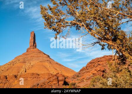 Tour Castleton encadrée par un arbre de genévrier, formation de roches iconiques dans la vallée du Château près de Moab, Utah. La Tour est renommée mondiale comme sujet de photogr Banque D'Images