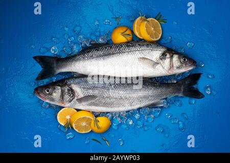 Poissons de mer sur glace sur fond bleu, vue de dessus Banque D'Images