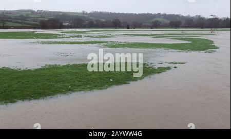 A inondé la vallée d'Ax dans East Devon, au Royaume-Uni pendant la tempête Dennis. Champs agricoles autour de la rivière Ax. Banque D'Images