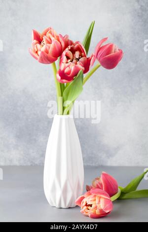 tulipes rouges dans un vase blanc sur fond bleu. Toujours la vie dans le style du minimalisme. Composition laconique. Félicitations pour la journée des femmes. 8 mars backgrou Banque D'Images