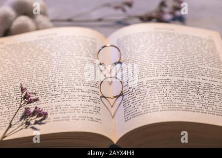 deux anneaux de mariage sur le livre. ombre sous forme de coeur. Concept amour, mariage Banque D'Images