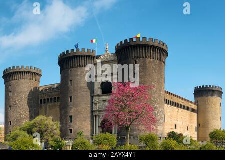 Castel Nuovo (anglais: 'Nouveau château'), souvent appelé Maschio Angioino (italien: 'Angevin Keep'), est un château médiéval situé en face de la Piazza Menicip Banque D'Images