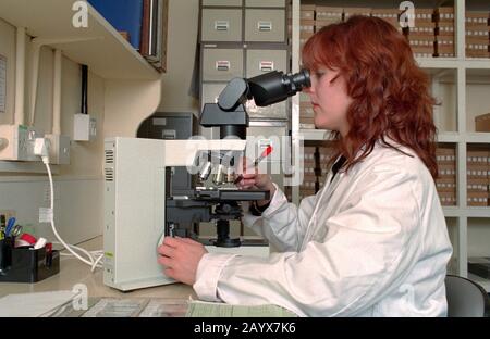 Femme vérifiant des échantillons sous un microscope dans un laboratoire de pathologie Banque D'Images