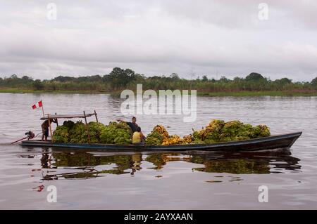 Un bateau amène les bananes sur le marché de Belem à Iquitos, une ville sur la rivière Amazone dans le bassin de la rivière Amazone péruvienne. Banque D'Images