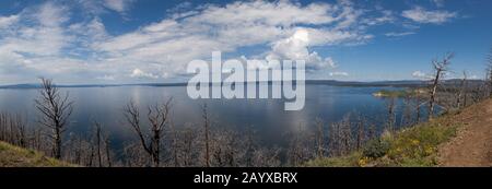 Vue panoramique sur le lac Yellowstone depuis une vue imprenable sur des arbres morts depuis un feu récent et des montagnes lointaines et des nuages de tempête. Banque D'Images