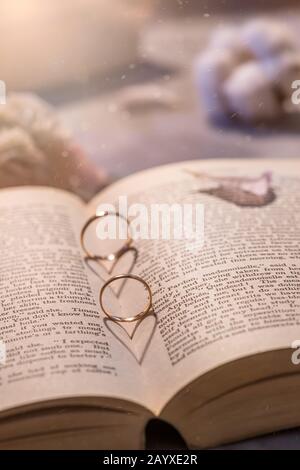 deux anneaux de mariage sur le livre. ombre sous forme de coeur. Concept amour, mariage Banque D'Images