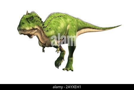 Majungasaurus était un dinosaure théropodes carnivore qui vivait à l'époque du Crétacé à Madagascar. Une espèce cousine pour le carnotaure, il avait une corne sur sa tête. Banque D'Images