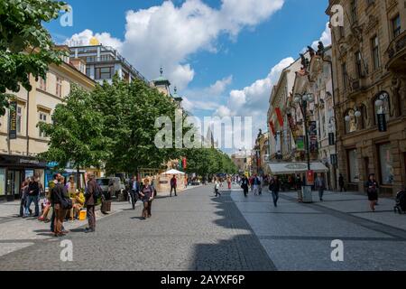 La place Venceslas est l'une des principales places de la ville et le centre des entreprises et des communautés culturelles de la Nouvelle ville de Prague, en République tchèque. Banque D'Images