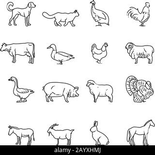 Les animaux de la ferme sont des icônes vectorielles à fines lignes définies. Contours : vache, porc, poulet, cheval, lapin, chèvre, âne, mouton, symboles d'oies. Jeu d'illustrations d'animaux de ferme, pictogramme d'animaux en style ligne Illustration de Vecteur