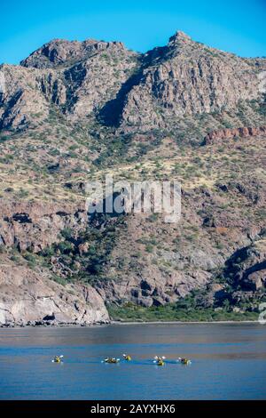 Les touristes kayak le long de la côte à la baie d'Aqua Verde, un petit village de pêcheurs près de Loreto, mer de Cortez en Basse-Californie, Mexique. Banque D'Images