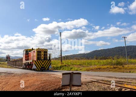 Train de canne à sucre, Hamilton Plains Queensland, Australie Banque D'Images