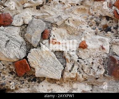 Corail, coquillages, pierres et brique rouge incrustée dans un bloc utilisé pour construire un vieux mur de ville autour de Carthagène, Colombie Banque D'Images