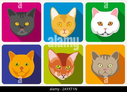 Collection de portraits vectoriels Cat. Jeu de chat de tête et de museau de chats avec yeux et illustration de whisky Illustration de Vecteur