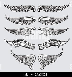 Oiseau héraldique, ensemble vectoriel des ailes d'ange. Ailes ange tatouage, illustration ailes gothiques aigle Illustration de Vecteur