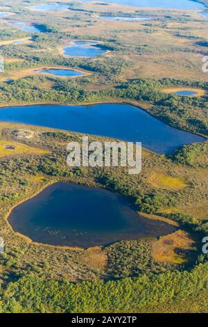 Vue sur la toundra avec des lacs et des muskeg pendant le vol en hydravion depuis King Salmon sur la péninsule de Katmai en Alaska, aux États-Unis jusqu'au lac Brooks à Katma Banque D'Images