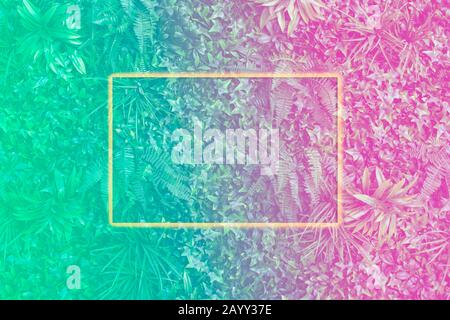Feuilles tropicales créatives de surface dans des tons néon avec cadre jaune néon. Arrière-plan naturel. Pose plate. Banque D'Images