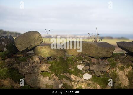 Moss a couvert mur de pierre avec une vue de St Andrews au loin, St Andrews, Fife, Écosse. Banque D'Images