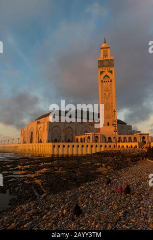 Lumière du soir sur la Mosquée Hassan II ou Grande Mosque Hassan II à Casablanca, la plus grande mosquée du Maroc et de l'Afrique. Banque D'Images