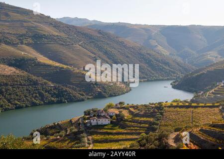 Fleuve Douro avec bateau de croisière près de Pinhao, vallée du Douro, Portugal. Banque D'Images