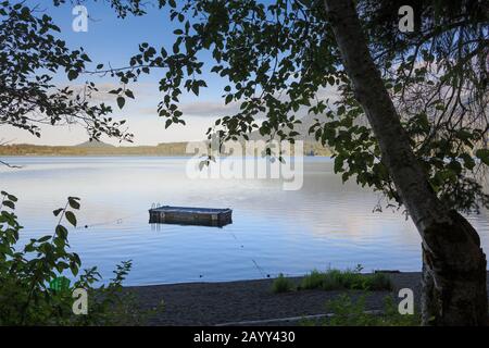 Lac Quinault Et Vallée Glaciaire Sculptée, Parc National Olympique, Washington, États-Unis. Banque D'Images