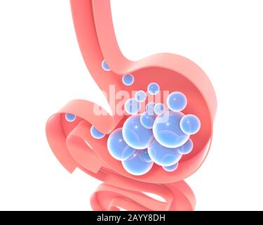 Illustration tridimensionnelle de l'intérieur schématique de l'estomac humain avec des gaz. Silhouette plate vide, silhouette isolée sur fond blanc avec des couleurs vives Banque D'Images