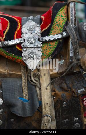 Cheval décoré en selle sur un cheval au parc du Golden Eagle Festival près de la ville d'Ulgii (Ölgii) dans la province de Bayan-Ulgii dans l'ouest de la Mongolie. Banque D'Images