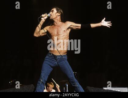 Iggy Pop live at Reading festival, scène principale; 24 août 2001 James Newell Osterberg Jr. (Né le 21 avril 1947), mieux connu sous le nom d'Iggy Pop, est un chanteur, compositeur, musicien, producteur de disques et acteur américain. Désigné le 'parrain de Punk''il a été le chanteur du groupe influent proto-punk les Stooges, qui ont été formés en 1967 et ont dissous et réuniré plusieurs fois depuis. (source wikipedia) Banque D'Images