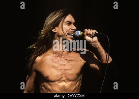 Iggy Pop live at Reading festival, scène principale; 24 août 2001 James Newell Osterberg Jr. (Né le 21 avril 1947), mieux connu sous le nom d'Iggy Pop, est un chanteur, compositeur, musicien, producteur de disques et acteur américain. Désigné le 'parrain de Punk''il a été le chanteur du groupe influent proto-punk les Stooges, qui ont été formés en 1967 et ont dissous et réuniré plusieurs fois depuis. (source wikipedia) Banque D'Images