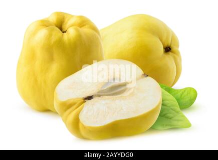 Des coings isolés. Deux fruits de coing entiers et un demi isolés sur un fond blanc avec un chemin de découpe Banque D'Images