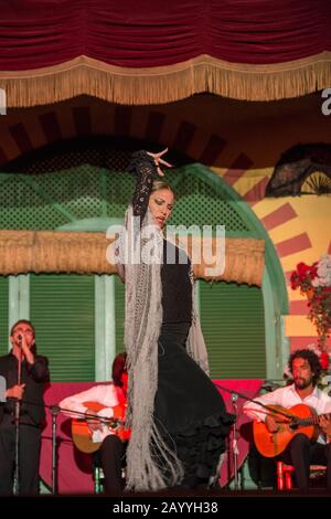 Danseurs et musiciens qui jouent au Flamenco, une forme de musique folklorique espagnole et de danse, lors d'un dîner-spectacle à Séville, Andalousie, Espagne. Banque D'Images