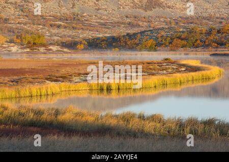 Paysage Au Parc National De Rondane, Norvège, Oppdal, Parc National De Rondane, Mysuseter Banque D'Images