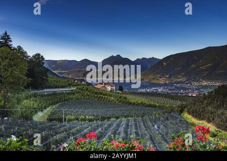 Vue panoramique de Schenna sur Meran, Italie, Tyrol du Sud Banque D'Images